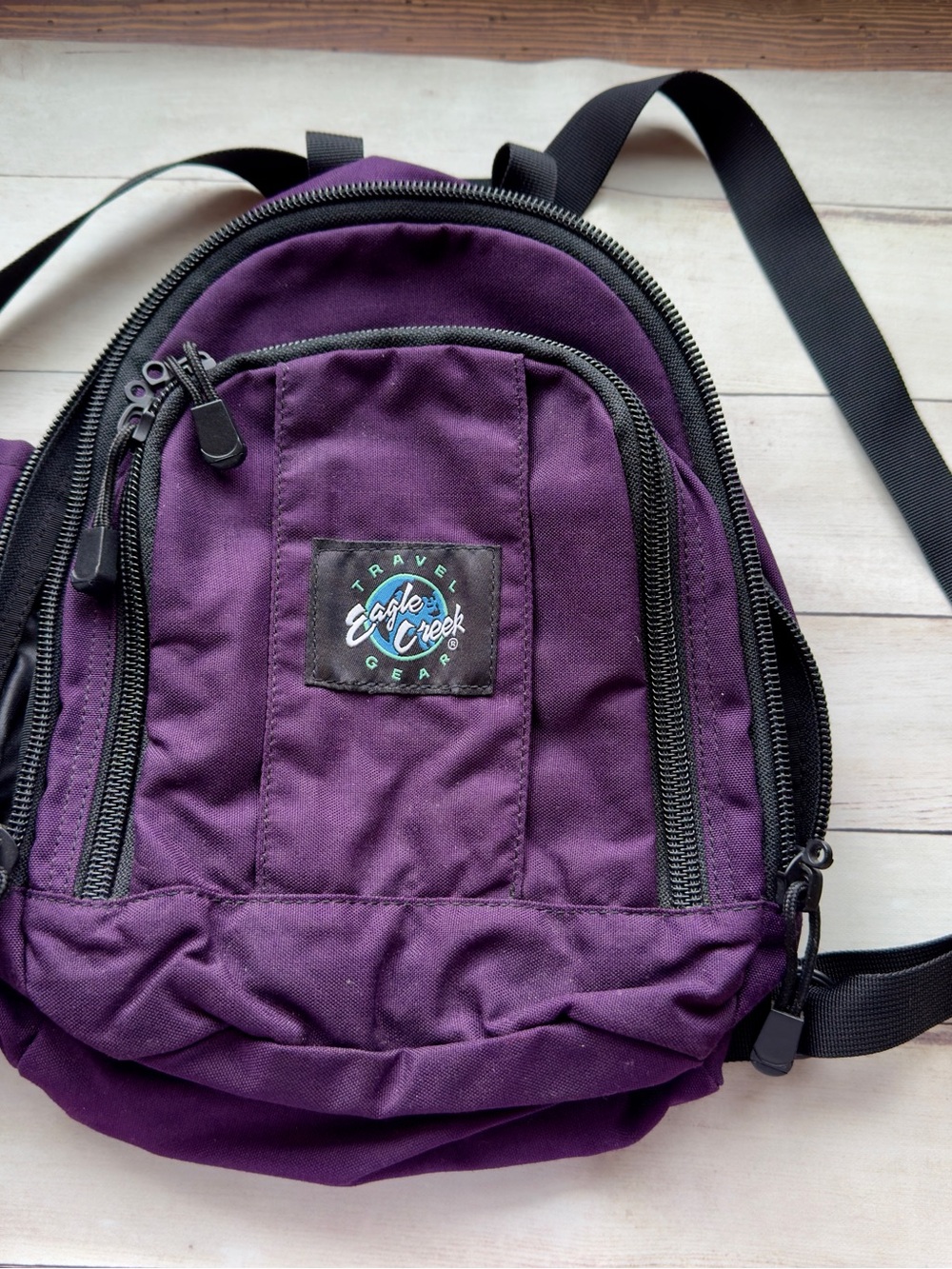 Eagle Creek Purple Compact Daypack Backpack